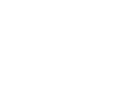 The Lens Noir